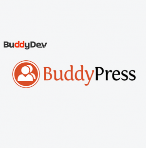 BuddyBlog Pro 1.3.8