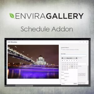 Envira Gallery – Protection Addon 1.4.6