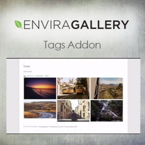 Envira Gallery – Social Addon 1.6.6.1