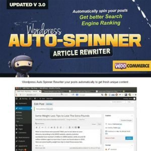 WordPress Auto Spinner – Articles Rewriter 3.13.0