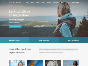 Born To Give 3.1 – Charity / Crowdfunding WP Theme