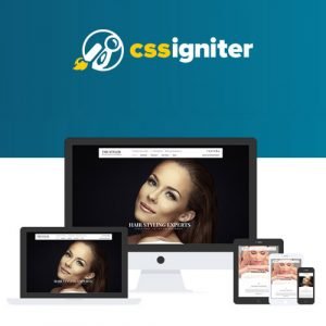 CSSIgniter The Styler 1.4.2