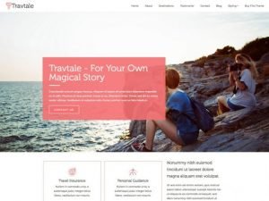 CyberChimps – TravTale WordPress Theme 1.1.1