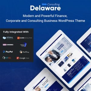 Delaware – Consulting and Finance WordPress Them 1.2.5