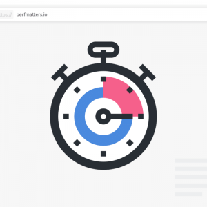 Perfmatters WordPress Performance Plugin 2.1.7