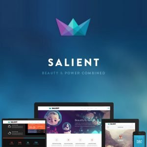 Salient – Responsive Multi-Purpose Theme 15.1.0