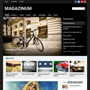 WPZoom Magazinum WordPress Theme 4.0.9